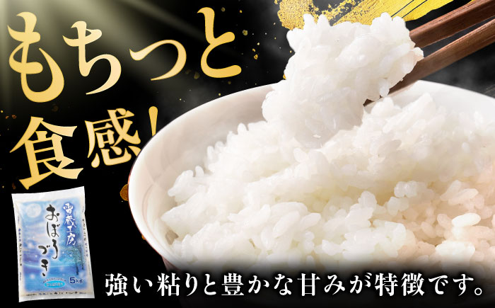 【5回定期便】雪蔵工房 おぼろづき 7kg | JAびばい [BOAF022]