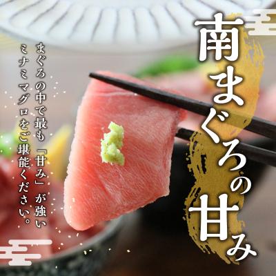 ふるさと納税 焼津市 訳あり【定期便 6回】南鮪・刺身・中トロ(約700g)(a60-020) |  | 01