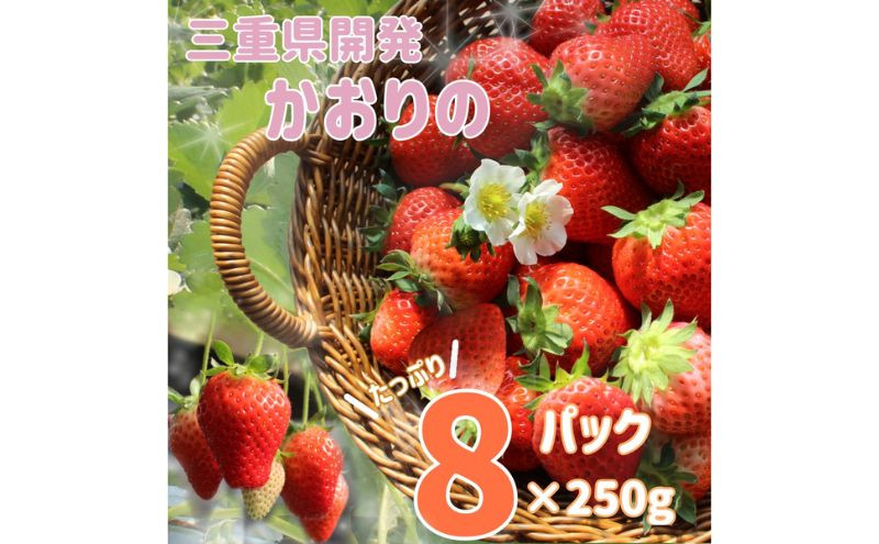 
三重県産いちご　「かおり野」　8P
