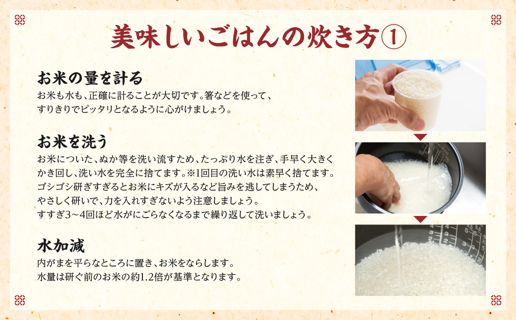 【先行予約】《令和7年産》 くまさんの輝き 精米10kg 熊本県 八代市産 米 お米 精米  国産 白米 【2025年11月下旬より順次発送】