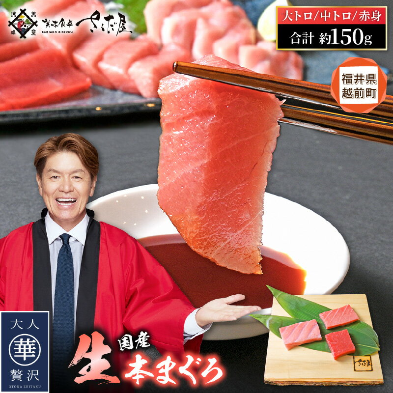 【ふるさと納税】生 本マグロ まぐろ三昧 おひとりさま ミニ セット 合計約150g「大トロ・中トロ・赤身」各約50g（計3柵）【本まぐろ マグロ まぐろ 大とろ 中とろ 冷蔵 お取り寄せ グルメ】 [e04-a084]