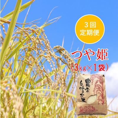 ふるさと納税 小国町 【発送月固定定期便】つや姫 精米 3kg　佐藤全3回