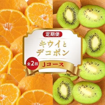 ふるさと納税 丸亀市 【発送月固定定期便】フルーツ定期便 Jコース (香緑キウイ デコポン)全2回