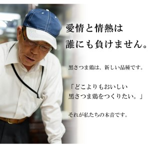 薩摩ヤブサメ酵素卵 60個入／「ヤブサメファーム」自家栽培 野菜の飼料で育った卵！自家配合 発酵飼料使用の卵！いちき串木野産 卵 【A-781H】