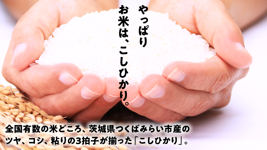 ＼ 最短 2日で発送 ／ コシヒカリ 10kg 令和6年産精米【 数量限定 】茨城県つくばみらい市産 米 コメ 単一米 24000 茨城県産 国産 即納 スピード配送 すぐ届く 発送 早い 即発送 コ