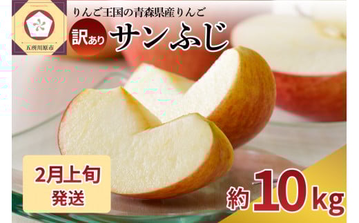【2026年2月上旬発送】 【訳あり】 りんご 約10kg サンふじ 青森産