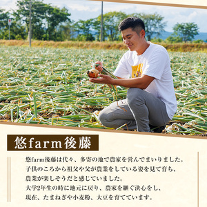 《先行予約受付中！》＜北海道士別市たよろ産＞甘みと旨味が詰まった 玉ねぎ ( 5kg ) 【2026年10月中旬以降発送予定】たまねぎ 玉葱 野菜 北海道産 士別市産 料理 【悠farm後藤】【A71