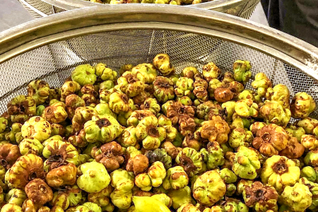 マタタビセット