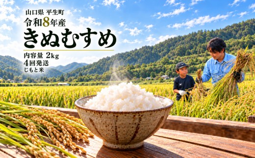 令和8年産 山口県産米 きぬむすめ 2kg 定期配送 4回 ｜令和8年産 きぬむすめ 山口県産米 こめ お米 コメ 白米 米 新米 ごはん 弁当 おにぎり おむすび 朝食 ランチ 主食 精米 地域支援 地元応援 瀬戸内 山口県 平生町 2kg 4回