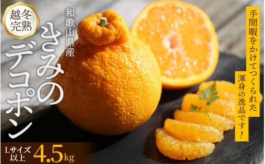 甘みと旨味がぎゅっと詰まった逸品！越冬完熟「きみのデコ」(デコポンと同品種) 約4.5kg(15~20個程度) サイズ混合 L以上 ご家庭用(秀優混合) 【2026年3月上旬から下旬に順次発送】/ デコポン 不知火 柑橘  和歌山県 越冬 有機 【kmf003】