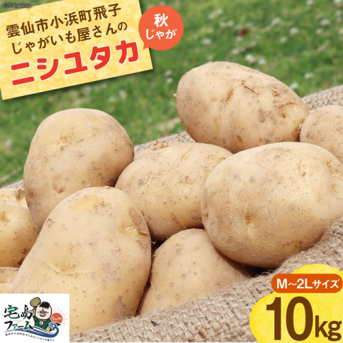 【2025年12月後半以降発送】 じゃがいも ニシユタカ 10kg 秋じゃが [宅島ファーム 長崎県 雲仙市 item2050] 野菜 ジャガイモ 10キロ 馬鈴薯 長崎県産 期間限定