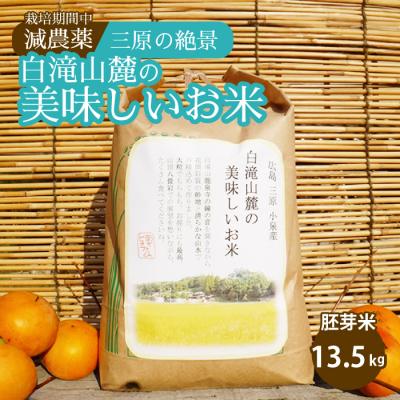ふるさと納税 三原市 ≪栽培期間中減農薬≫ 三原の絶景白滝山麓の美味しいお米 胚芽米 13.5kg[002-008]