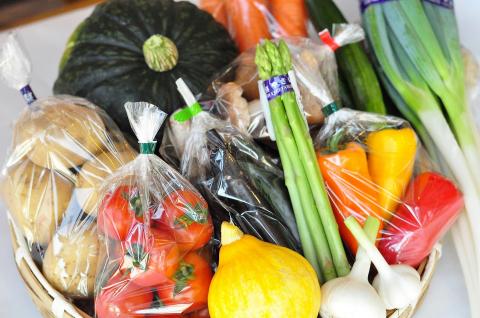 季節の野菜詰め合わせ　冷蔵便 ※離島・沖縄・北海道への発送不可 農家直送 産地直送 採れたて 自然栽培 詰め合わせ 詰合せ 東北 山形県 遊佐町 庄内