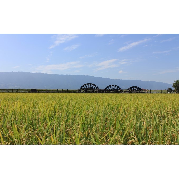 福岡県朝倉市　日本旅行　地域限定旅行クーポン30,000円分 チケット _イメージ4