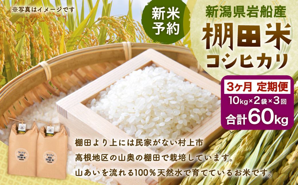 
                  【新米受付・令和8年産米】【定期便：3ヶ月連続でお届け】新潟県村上市岩船産 棚田米コシヒカリ 20kg×3ヶ月　1011011N　定期便 毎月 新米予約 お米 白米 こしひかり 精米 村上市
                