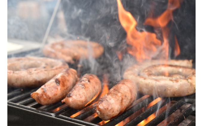 ソーセージ 神奈川県 綾瀬市発 ブラジル 食材 セット 詰め合わせ 肉 お肉 豚肉 鶏肉 コロッケ 惣菜 おかず 生ソーセージ ウィンナー ウインナー ポトフ ピラフ ピザ パスタ キーマカレー 餃子