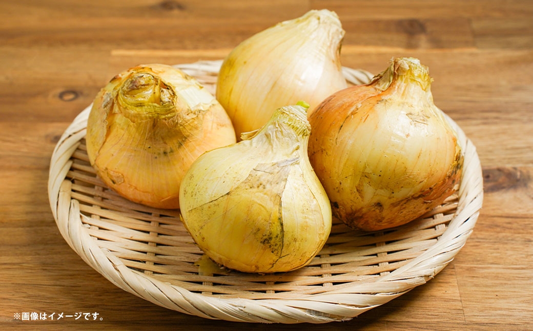 
                  新玉ねぎ 約10kg （ 15個 ～ 20個 ） 玉ねぎ たまねぎ タマネギ 玉葱 オニオン 野菜 やさい 旬 国産 熊本県産 【 2027年1月上旬～3月下旬発送予定 】
                