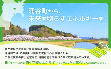 涌谷町CO2フリーでんき 1,500円×6ヶ月コース【※※お申込み前に申込条件を必ずご確認ください】 東北電力 電気 電力 東北 電気代 電気料金 青森県 岩手県 宮城県 秋田県 山形県 福島県 新潟