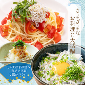 冷凍釜揚げしらす１kg_H6021