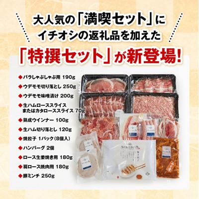 ふるさと納税 川南町 さんきょうみらい豚 『特撰セット』 |  | 03