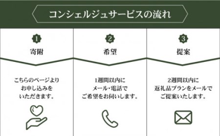 コンシェルジュ50万円プラン NZY001 