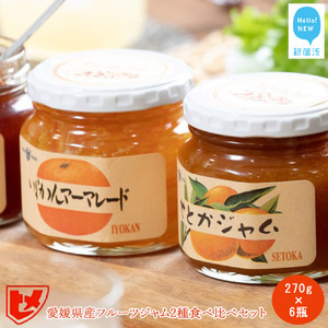 愛媛県産フルーツジャム（せとか・伊予柑）2種食べ比べセット（270g×6瓶） みきゃんの列車箱入り ギフトにも最適 愛媛果汁食品