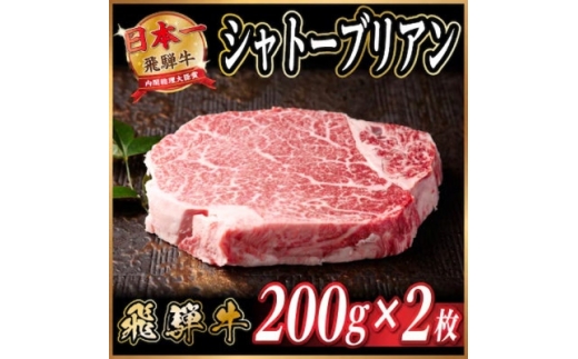 飛騨牛 シャトーブリアン 約400g(約200g×2枚)  黒毛和牛 ステーキ牛肉【1733119】