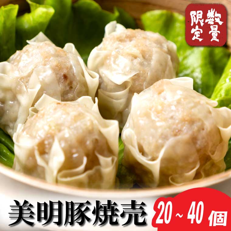 【ふるさと納税】焼売 美明豚「びめいとん」のジューシー焼売｜シュウマイ 焼売 美明豚 びめいとん 肉 肉加工品 豚肉 お肉 ジューシー20個 40個 数量限定 茨城県 行方市