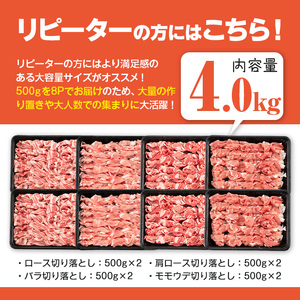 ＜2026年3月中に発送予定＞鹿児島県曽於市産 曽於ポーク切り落とし 合計4.0kg(ロース／バラ／肩ロース／モモウデ切り落とし) 国産 豚肉 切り落とし【Rana】A791-03