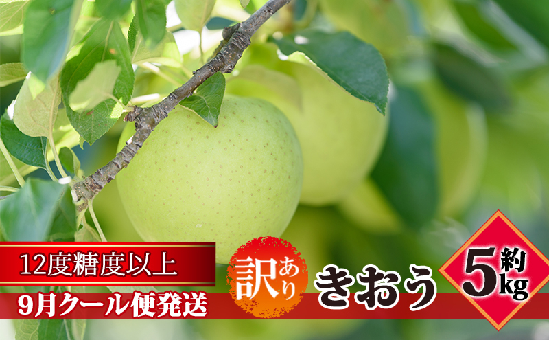 
【9月クール便発送】（糖度12度以上）訳ありきおう約5kg【弘前市産 青森りんご】
