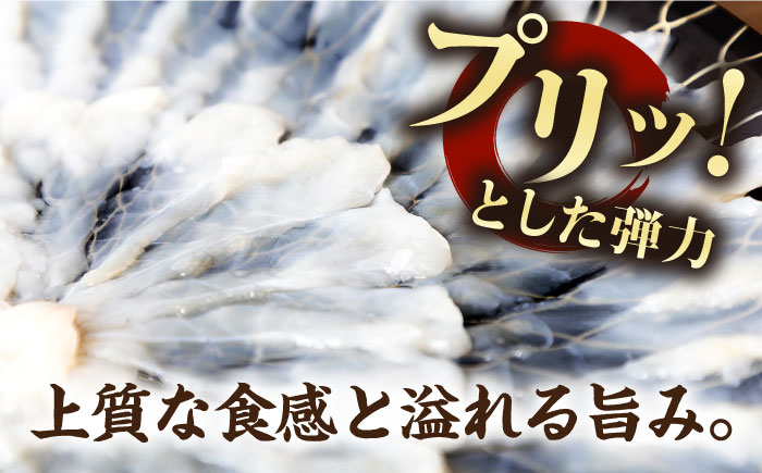 【全2回定期便】とらふぐ 刺身 （4〜5人前）《壱岐市》【なかはら】 [JDT066] ふぐ フグ 河豚 とらふぐ トラフグ 刺身 刺し身 ふぐ刺し フグ刺し とらふぐ刺し トラフグ刺し てっさ ふぐ