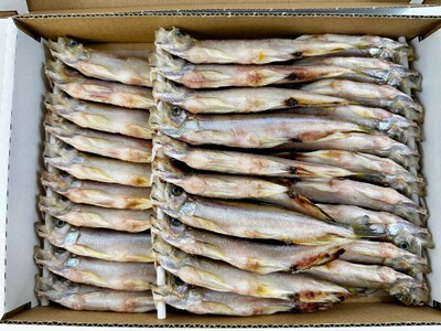 【広尾町産】干物専門店かぶらぎ水産のオスししゃも３０尾