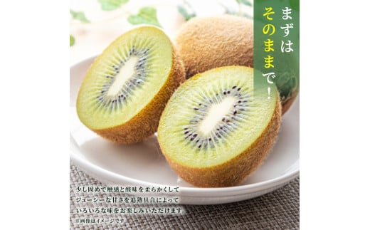 【11月中旬発送】キウイフルーツ ヘイワード キウイ 5kg 船橋市産 やまちょう園 