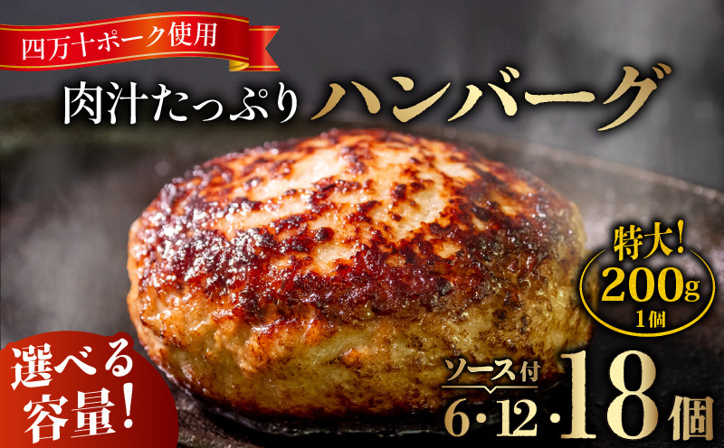 
            【発送月が選べる】ハンバーグ 四万十ポーク 入り1.2kg ( 200g × 6個 ) 2.4kg ( 200g × 12個 )  3.6kg ( 200g × 18個 ) 冷凍 真空 小分け 個包装 肉汁 たっぷり 大容量 大きめ 合挽き 牛肉 豚肉 保存料 不使用 ビーフ ポーク 合いびき肉 挽肉 ジューシー お弁当 おかず 惣菜 晩ごはん 贅沢  SNM012-all
          