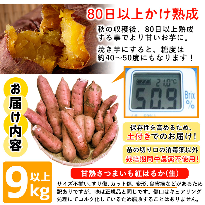 No.892 <訳あり・規格外>栽培期間中農薬不使用 甘熟さつま
