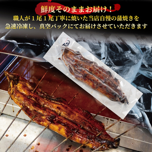 【6ヶ月定期便】 国産 うなぎの蒲焼 約180g×2尾 タレ付 うなぎ うなぎ うなぎ うなぎ うなぎ うなぎ