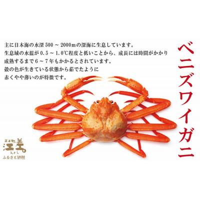 ふるさと納税 江差町 『北海道北前蟹』北海道日本海産 紅ずわいがに肩付き脚[殻付き]12肩　約3kg |  | 02