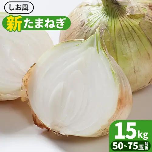 しお風新玉ねぎ 約15kg　たまねぎ 玉ねぎ