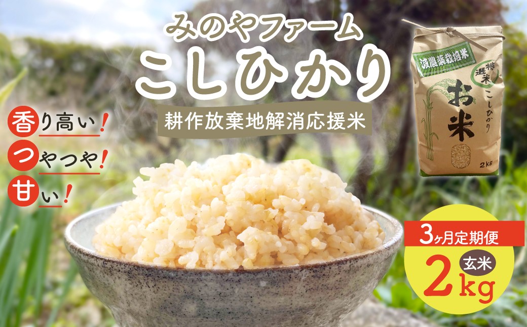 
                  【3ヶ月定期便】令和８年産 新米 こしひかり 2ｋｇ（玄米）✕　3ヶ月 みのやファームの耕作放棄地解消応援米　 【 コシヒカリ こしひかり おいしいお米 玄米 自然栽培 贈り物 ギフト 千葉県 御宿町 人気 おすすめ ランキング 】 ONJF010
                