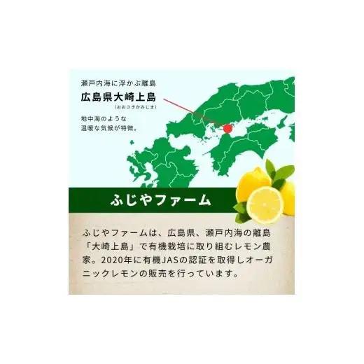グリーンレモン 約2kg 【2026年 10月 ～ 11月 発送】 先行予約