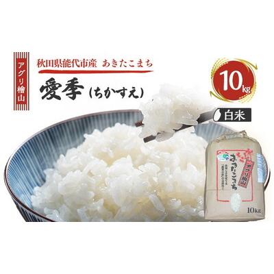 ふるさと納税 能代市 令和7年産 アグリ檜山米 愛季 白米 10kg  あきたこまち[No.5335-1666]