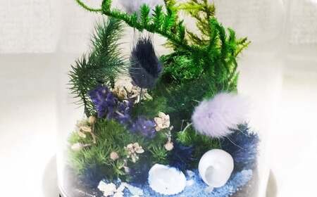 【さとリウム®】プリザーブド加工のテラリウム 夏 1セット｜ テラリウム ガラスドーム 苔 こけ コケ 植物 鑑賞用 インテリア 水やり不要