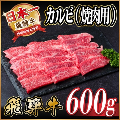 飛騨牛 カルビ 焼肉 600g【配送不可地域：離島】【1543783】