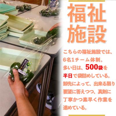 ふるさと納税 佐川町 <2026年5月下旬以降発送>事前受付中!!<ピーマン>1kg さらら 農副連携 |  | 02