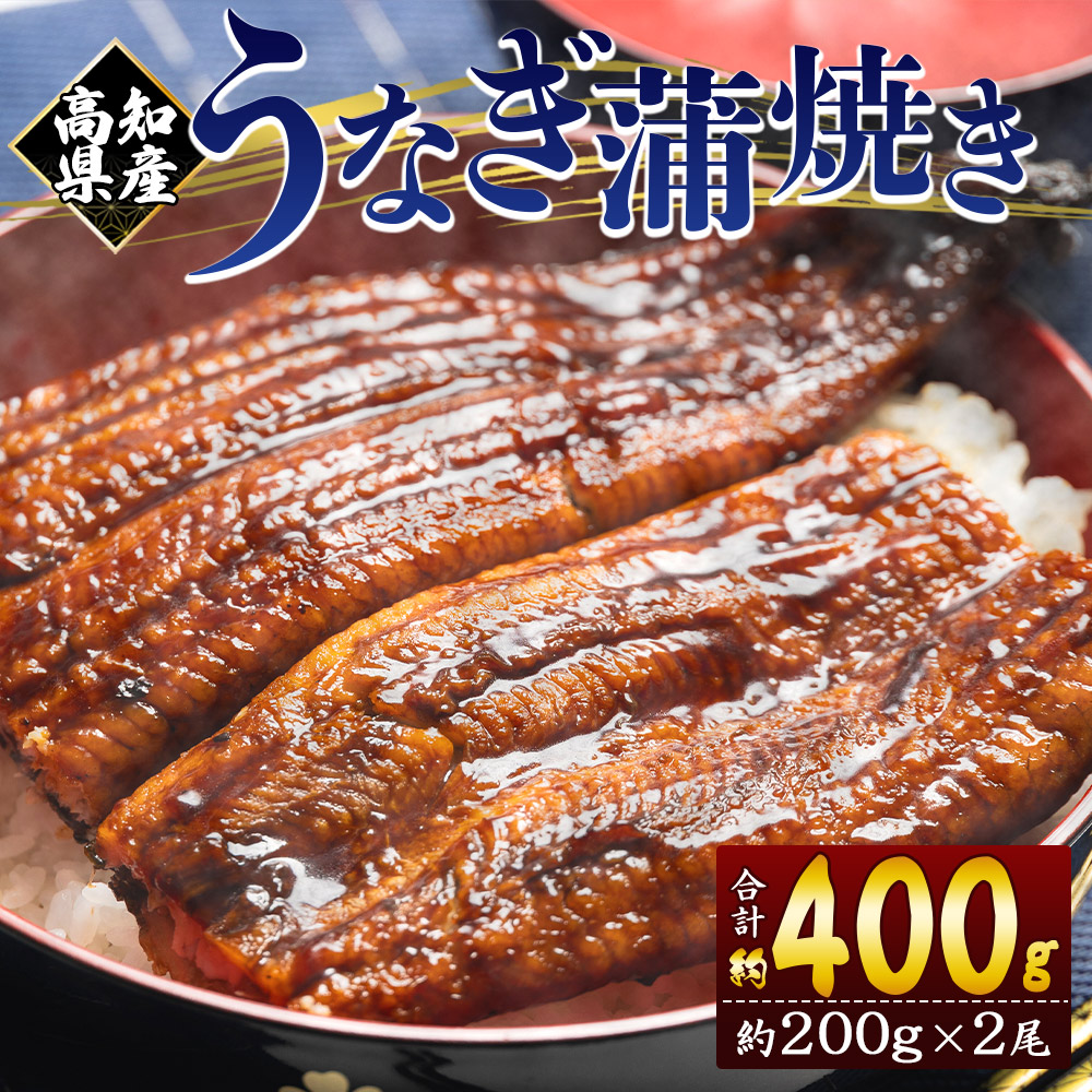 高知県産 うなぎ 蒲焼き 約200g×2尾 国産 養殖 高知県産鰻 フジ物産 鰻 ウナギ 養殖 かばやき タレ付き たれ おつまみ スタミナ 土用の丑の日 うな丼 うな重 丼ぶり どんぶり 一品 おかず 美味しい おいしい 贅沢 ぜいたく 料理 アレンジ ひつまぶし 魚介 肴 さかな 夕食 夕飯 朝食 ご飯のお供 ごはん おとりよせ お取り寄せ パック お祝い 御祝い 御礼 お礼 記念日 ご褒美 ごほうび 化粧箱 贈答用 贈答品 贈り物 プレゼント ギフト 内祝い 高知県 香南市 fb-0139