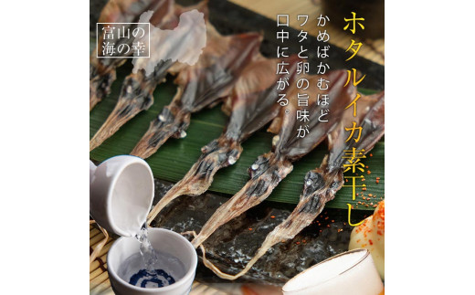 
越中氷見屋　ホタルイカ 素干し 18尾入り × 5袋　【魚貝類・加工食品・イカ・ホタルイカ】
