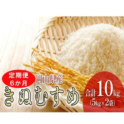 ふるさと納税 高梁市 【毎月定期便】【6か月定期便】岡山県産 きぬむすめ 10kg(5kg×2袋)全6回