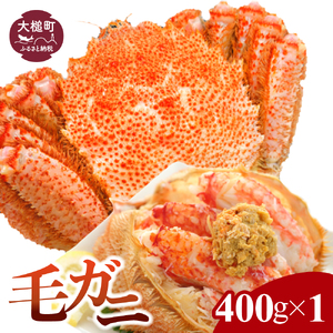 【令和8年発送】三陸産 三陸活毛ガニ400g×1杯【05】【2026年3月～4月発送】