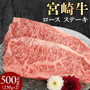 【ふるさと納税】宮崎牛 ロース ステーキ 250g×2 計500g ミヤチク 国産