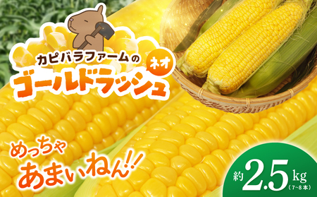 【先行予約】とうもろこし(ゴールドラッシュ ネオ) 約2.5kg（7～8本）